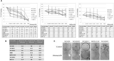Pharmacological inhibition of CDK4/6 impairs diffuse pleural mesothelioma 3D spheroid growth and reduces viability of cisplatin-resistant cells